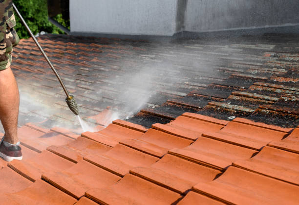 Best Roof Pressure Washing  in Columbus, NC